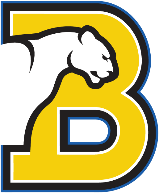 Birmingham-Southern Panthers 1991-Pres Primary Logo DIY iron on transfer (heat transfer)